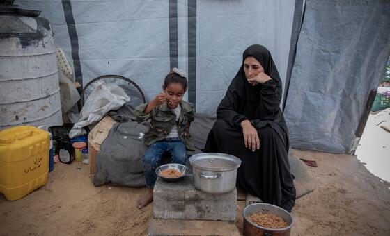 World News in Brief: Winter aid for Gaza, West Bank; Haiti food production; migrant deaths at sea; human rights funding